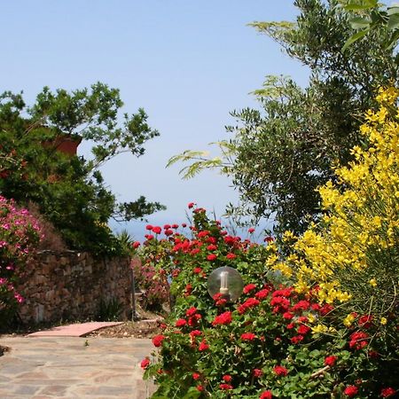 Ikarian Centre - Accommodation & Mountain Hiking Эвдилос Экстерьер фото