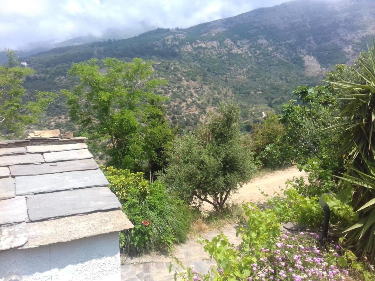 Ikarian Centre - Accommodation & Mountain Hiking Эвдилос Экстерьер фото