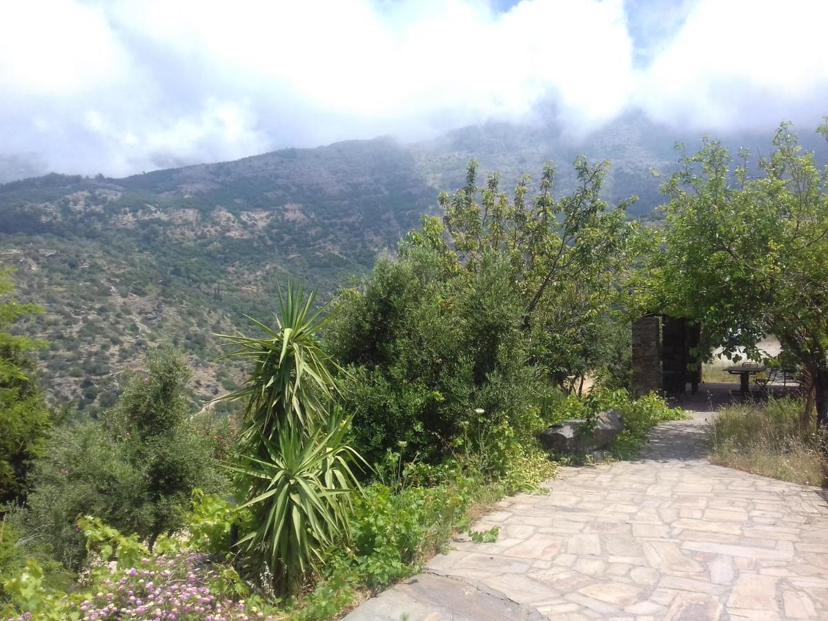 Ikarian Centre - Accommodation & Mountain Hiking Эвдилос Экстерьер фото